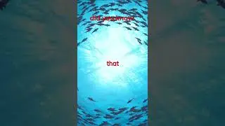 Ranching Tuna