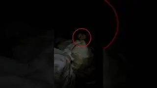 Настоящий Призрак попал в кадр видео ночью в лесу 2024