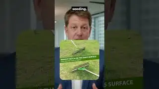 Unleash Your Lawn&rsquo;s True Power with the Manual Dethatching Rake 🌿