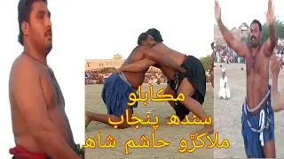 Sindhi Malakhra hashim shah HD video 313  number 2019