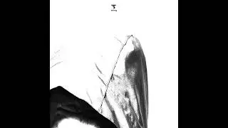 Sozna - Following