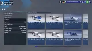 Microsoft Flight Sim Online Open World Flights