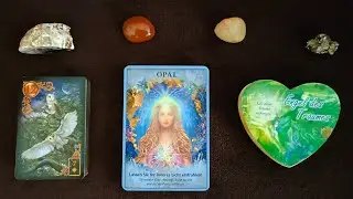 Tagesbotschaft 24.01.2026 Lenormand Die Eulen (12)🦉🦉Kommunikation Weisheit🌟Liebe❤OPAL💎Traum🌌