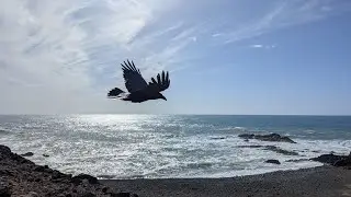 Fuerte Ventura März 2025