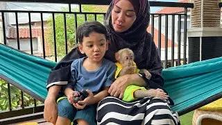 Mom calmed Baby Monkey Alpha who was afraid of hearing the worker's voice
