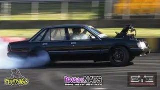 BLOWN VK 