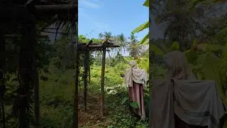 Organic farming,our vegitable garden||@MrAndMrsDiaries