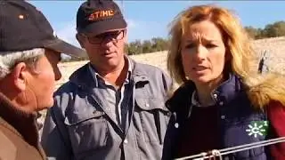 Pilar Ramírez: ingeniera agrícola del IFAPA en Cabra (Córdoba)