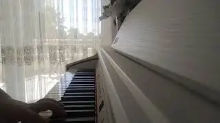piano | chormatic  scale 🎹  (performance
