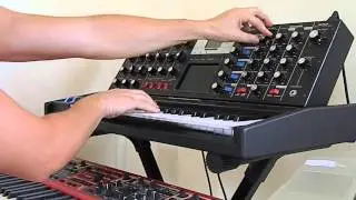 Minimoog Voyager Electric Blue