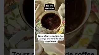 Kenya's Coffee