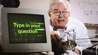 Jason M. Silverman | All Star Cheer Sites | The Magic Cat