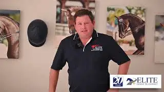 Horse Transportation 