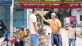 Part 25