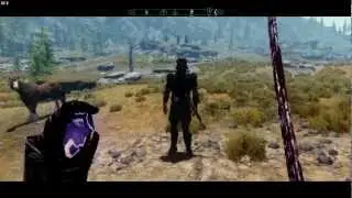 TES 5: Skyrim 