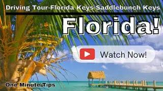 DRIVING TOUR-FLORIDA KEYS-SADDLEBUNCH KEYS FLORIDA!-Destinations-#Florida Keys #shorts #shortsvideo