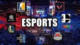 Esports: A Masterclass of Skill and Community