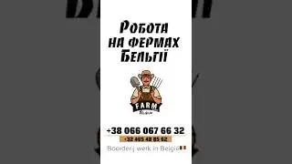 Контакты 📱 Belgium Work Farm