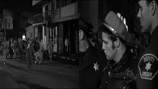 The Wild One Movie - A Totally Messed Up Mirage or Disaster? Unveiling the Truth