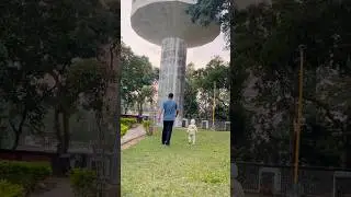Новый парк #youtubeshorts #shorts #shortvideo #shortsfeed #viralvideo