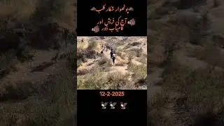 Potohar Hunting Club #animals #animalhunter #huntingcompanion #worldwide #huntingdog