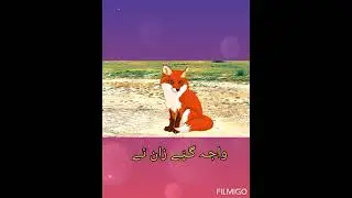 بلوچی گیدی کسہ [ شیٗر ءِ شیٗری ءُ روٗباہ ءِ روٗباھی ] پوٗلکار ءُ کسہ وانوٗک: برکھا بلوچ