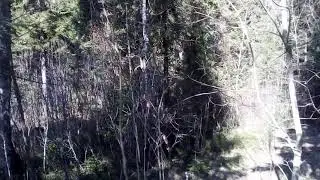 Кчык-кычык