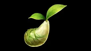 All Mokoko Seeds in Riza Falls 10/10 in Lost Ark - RTX 3080 TI