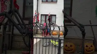 Halloween in UK #halloween #halloweendecor #shorts #edinburgh #wednesday #horrorshorts #scary #uk
