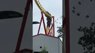 Backwards Inversion | Flash: Vertical Velocity, Six Flags Great Adventure