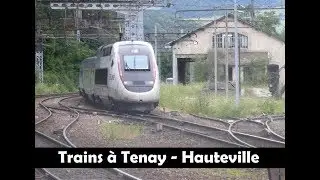 Trains en gare de Tenay   Hauteville