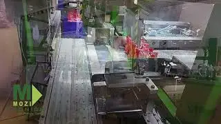 Auto Case Packer for Noodles Packaging Line