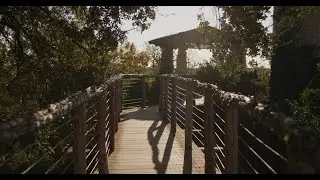 Red Epic MX + Glidecam DGS