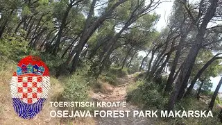 Kroatië | Osejava Forest Park | Makarska