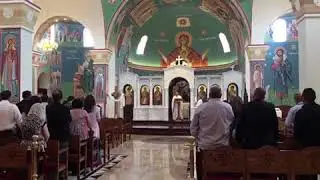 Holly Gospel reading by fr. Stephen