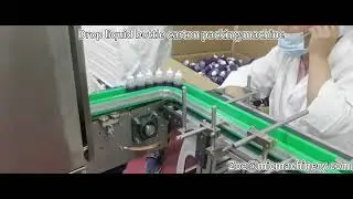 Drop liquid bottle carton packing machine