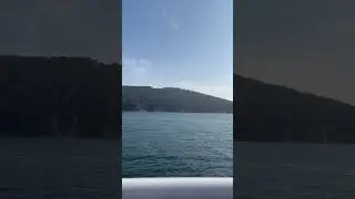 Bosphorus River Ship Trip  #travel