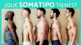 ¿Cómo saber si soy ECTOMORFO, MESOMORFO o ENDOMORFO? 📏🤷🏼🔍 (CLAVES para saber tu TIPO de CUERPO)