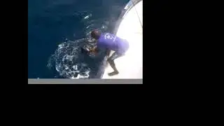 Sailfish caught on fly in Kenya