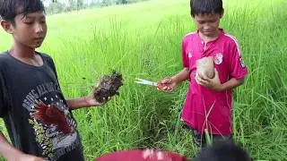 AMAZING Children Make Fish Trap With Multiple Knots Work 100% - Khmer Fishing Get A Lot Fish Part 2