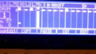 bad cut/edit bug mpc2500_xl308.os2 Excarbes betatester&acute;s & Sally&acute;s Art&acute;s