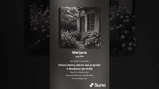 Marijana(Vlaho Paljetak)-nova verzija