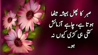 Best Islamic Urdu Quotes with deep meaning 