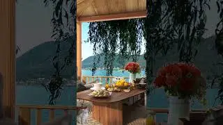 Cozy Nature Sounds | Summer Ambience with Relaxing Birdsong and Lake Waves
