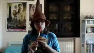 Brian Boru's March (irish whistle)