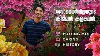 ബൊഗൈൻവില്ലയുടെ കിടിലൻ കളക്ഷൻ  | POTTING MIX | CARE | HISTORY