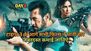 Tiger 3 Box Office Collection, Tiger 3 Box Office Collection Day 7, Salman khan