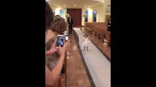 cutest flower girl