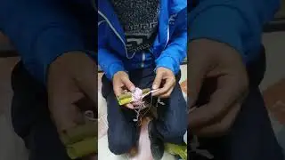 طريقة خدمة درس سنسلة🇲🇦🧶الحرير ومشتقاته🧶🧵مكينة البريم تقوم بعمل ممتاز 👌👋مرحبا بالجميع🔥