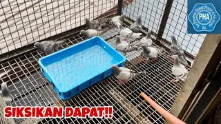 BAWAL BEYBIHIN!!